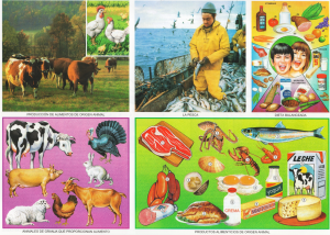 Monografia Alimentos De Origen Animal